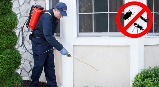Yenimahalle Bit İlaçlama böcek ilaçlama ve haşere kontrolü — ilaclama-tr.com